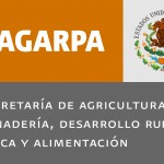 Ingresar a México con animales