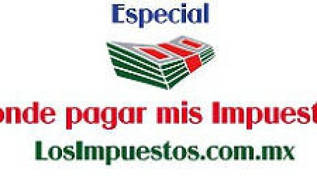 Impuestos en espana de lo que gano en forex