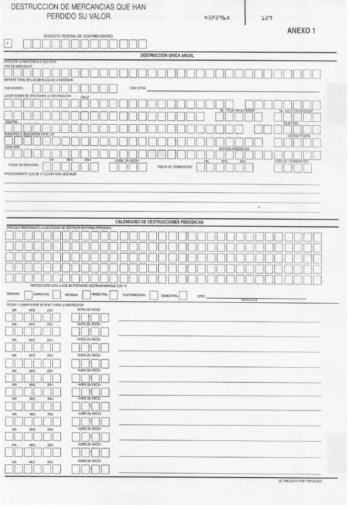 formato 45 anexo 1