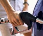 gasolina