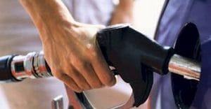 gasolina