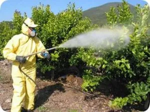 impuesto sobre los plaguicidas impuesto sobre los plaguicidas