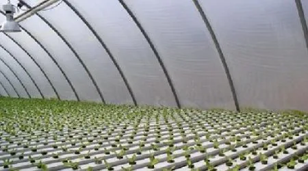 invernaderos hidroponicos