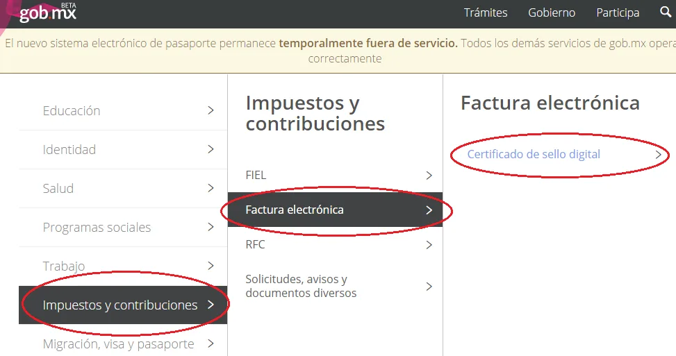 tramitar certificado sello digital tramitar certificado sello digital